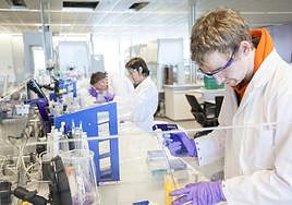 Novartis invierte 80 millones al año en I+D para vislumbrar los fármacos y tratamientos médicos del futuro