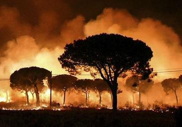 Un gran hermano de 24 horas para adelantarse a los incendios