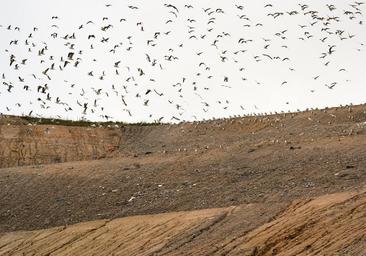 Europa abre expediente de infracción a España por la gestión de los vertederos