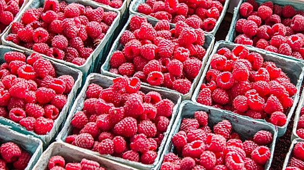 La naturaleza es sabia: por qué tienes que comer albaricoques, sandías y melón desde ya