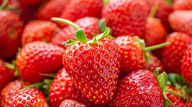 La naturaleza es sabia: por qué tienes que comer albaricoques, sandías y melón desde ya