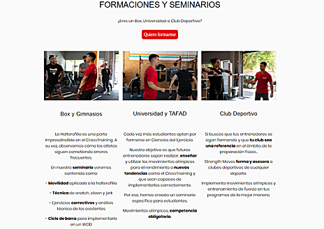 Imagen secundaria 1 - Seminarios presenciales de Strength Moves y diferentes programas online que puedes encontrar en su página web