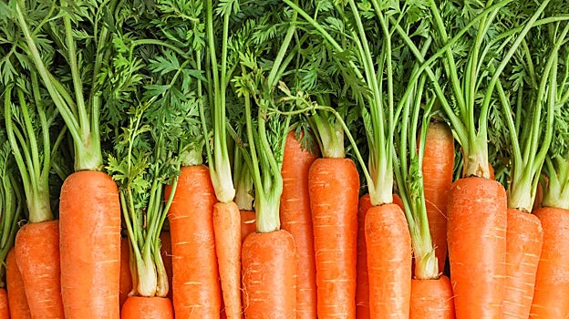 La zanahoria protege la vista.