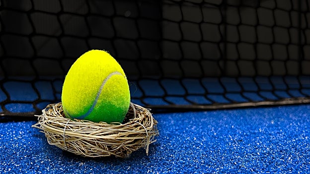 El gran error que cometen los que solo se comen la clara del huevo