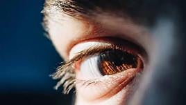 Oro para tus ojos: 10 alimentos tan vistosos como buenos para la vista