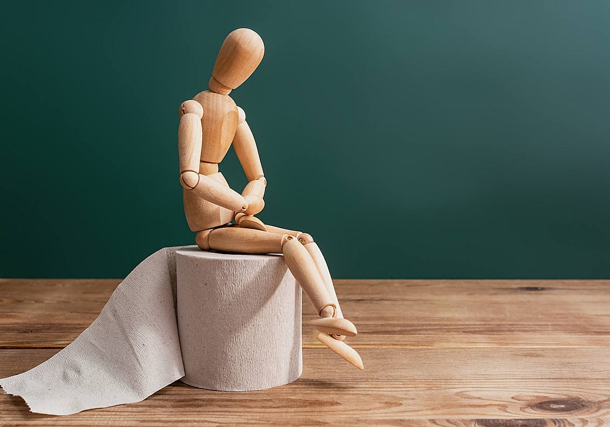 Ir al baño no debe ser un suplicio.