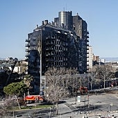 Psicólogos, sobre el incendio de Valencia: «Todos pasarán un duelo, pero no en todos los casos será patológico»