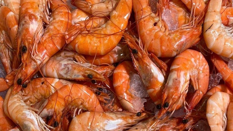 Gambas.