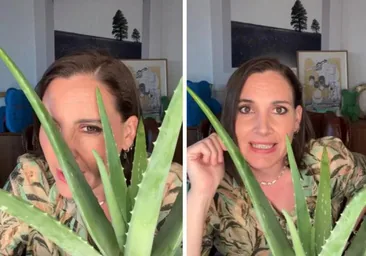 Boticaria García revela cómo afecta a nuestra salud el consumo del aloe vera en nuestra dieta: «Hay evidencias de que...»