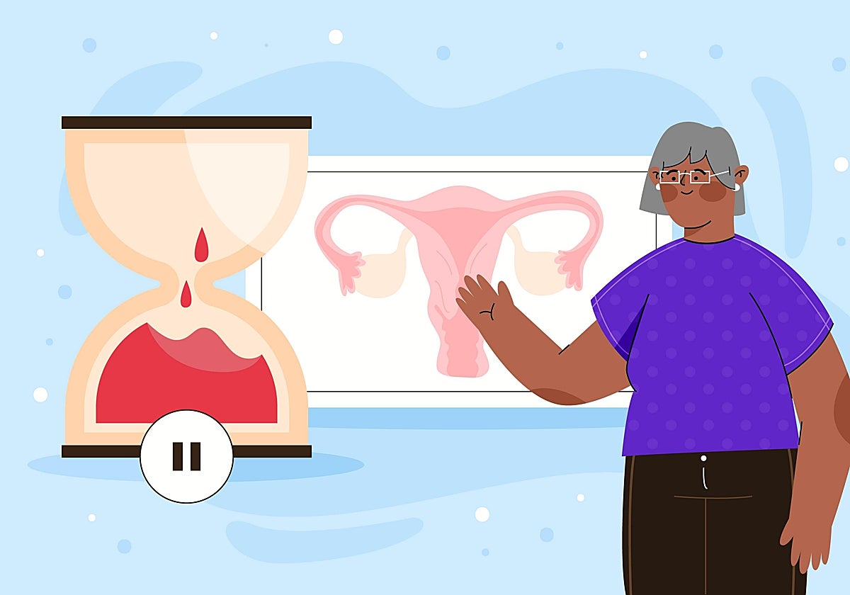 ¿Qué son los estrógenos?