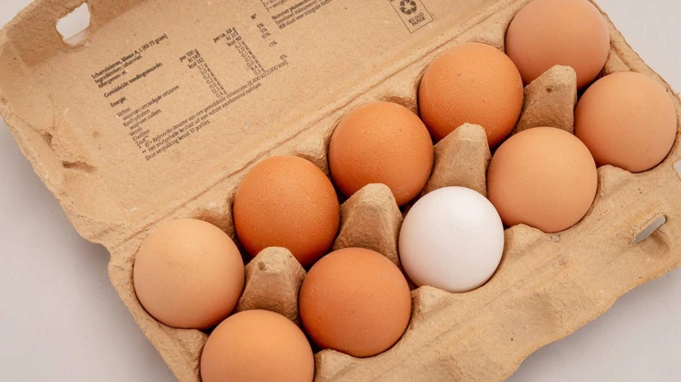 Un solo huevo contiene 13 nutrientes esenciales.