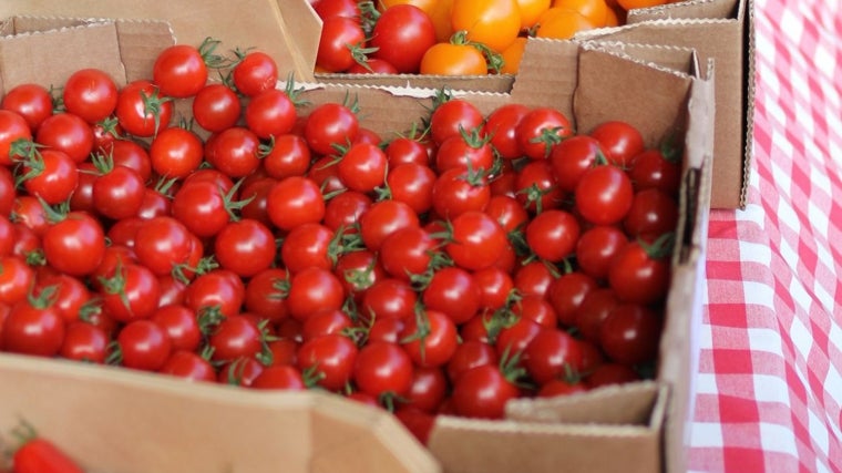 Tomate, rico en licopeno y en vitamina C.