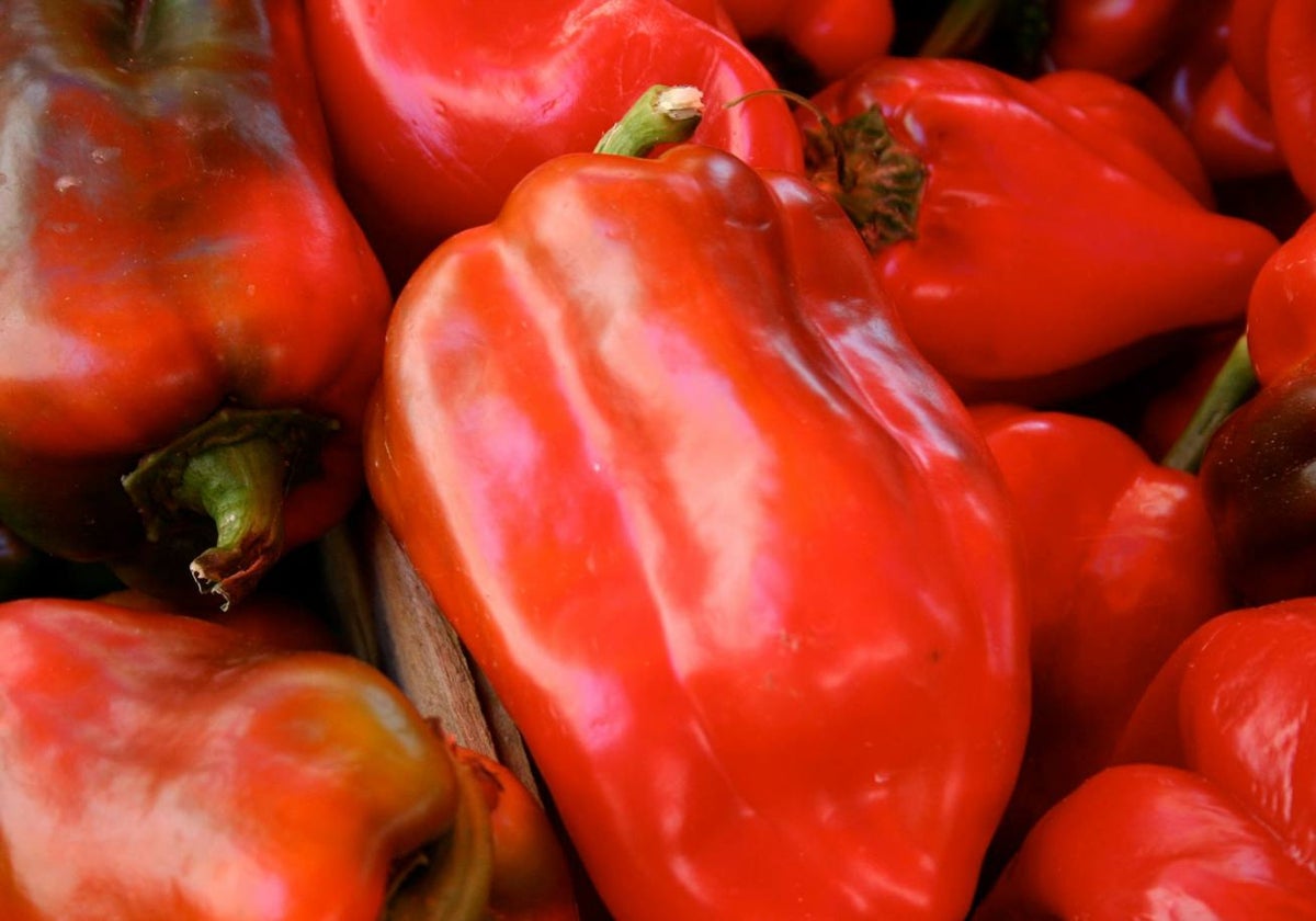 Pimientos rojos, ricos en vitamina C y en colágeno.