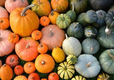 Verduras y frutas de otoño: por qué sus nutrientes combaten el estrés y el cansancio