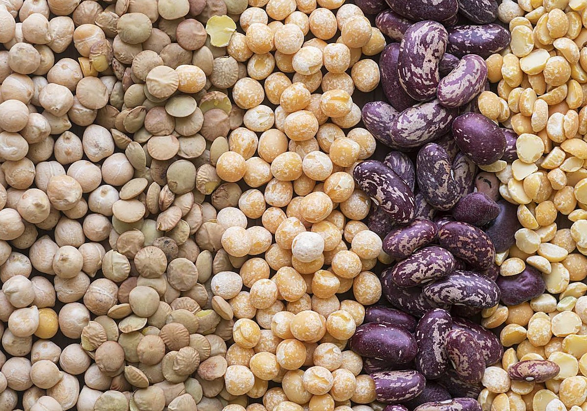 ¿Qué es la fibra soluble?