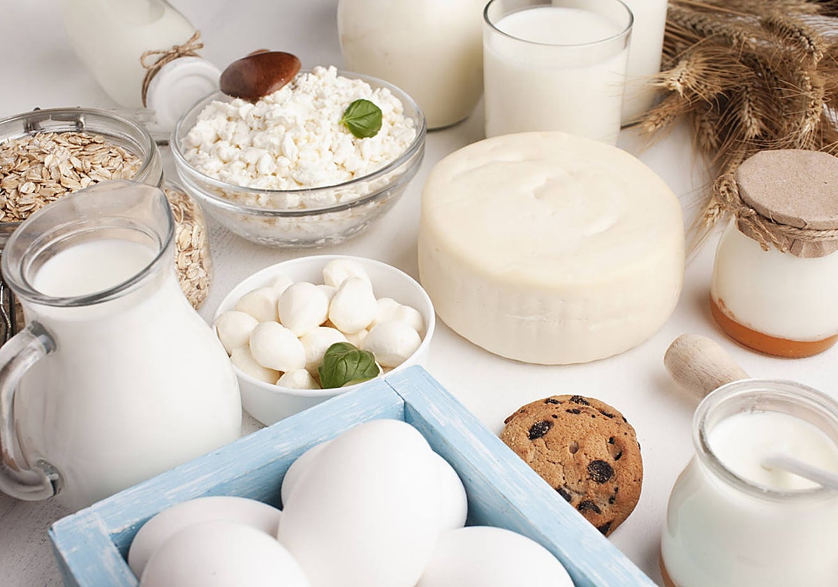 ¿Qué es la lactosa y qué alimentos lo tienen?