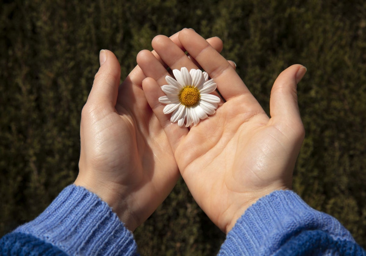 La gratitud es beneficiosa para la salud mental.