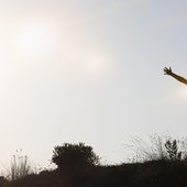 Así ayuda la meditación a cultivar la gratitud para mejorar la resiliencia