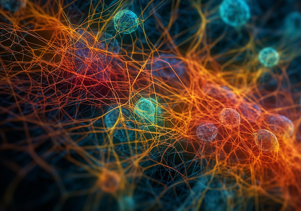 ¿Qué son las neuronas y para qué sirven?