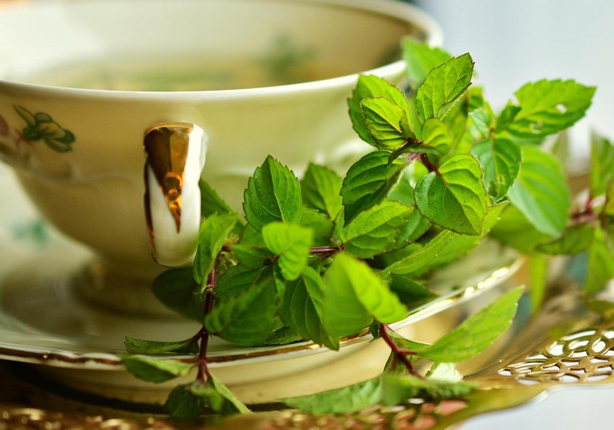 Infusión de menta: propiedades, beneficios y por qué tomarla todas las semanas