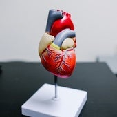 Nuestro corazón