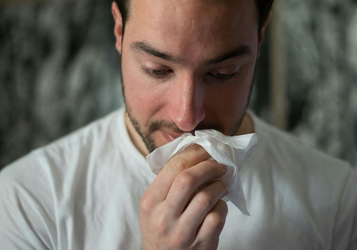 Todo lo que reduce los síntomas de alergia primaveral.