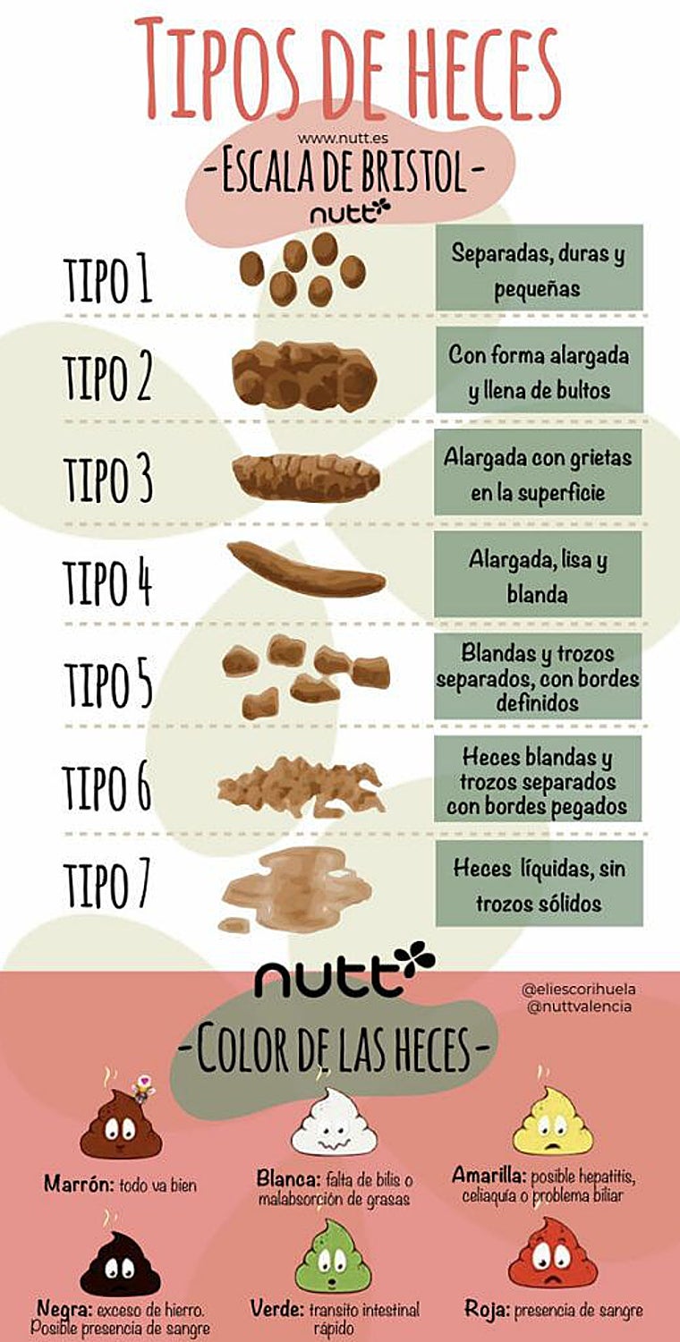 Escala de Bristol sobre la forma y el color de las heces.