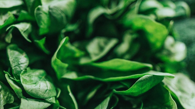 Antinutrientes, lo que quizá no sabes de los vegetales y cómo neutralizar su efecto