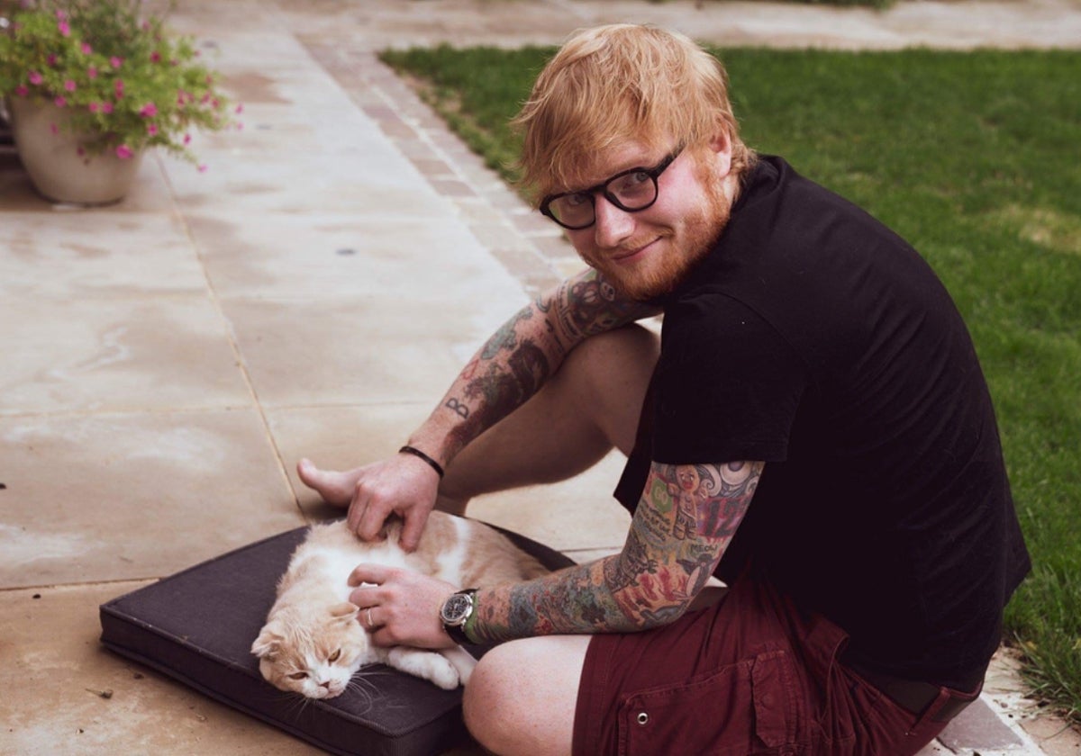 El cantante Ed Sheeran.