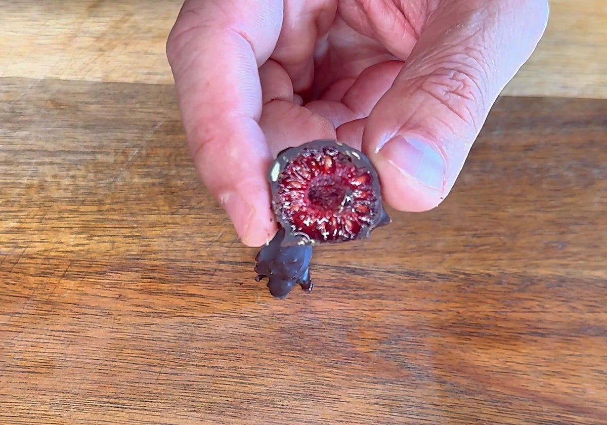 Bombones de chocolate y frambuesas.