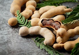 Tamarindo: el fruto de mil culturas rico en minerales que pocas personas conocen