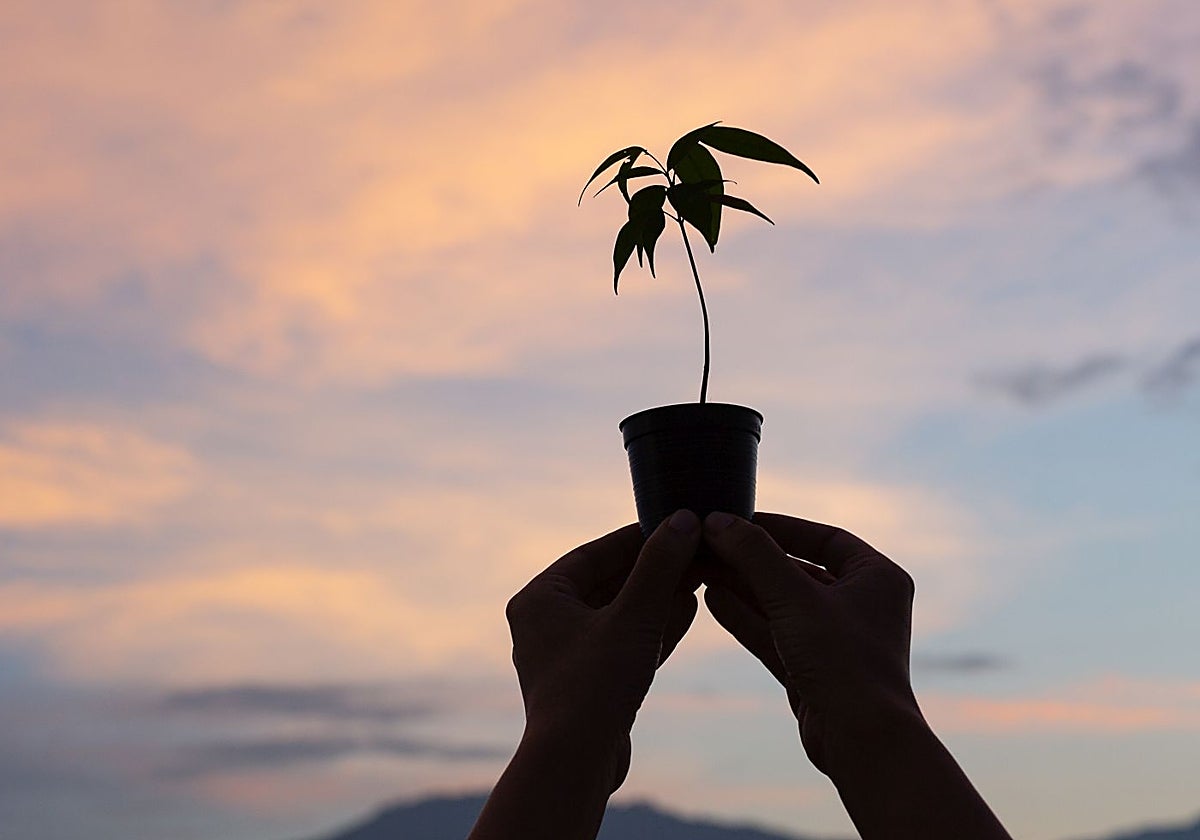 La esperanza es una emoción gratificante.