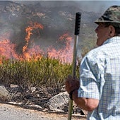 «El duelo se manifiesta con toda su crudeza porque arrasa con vidas enteras»