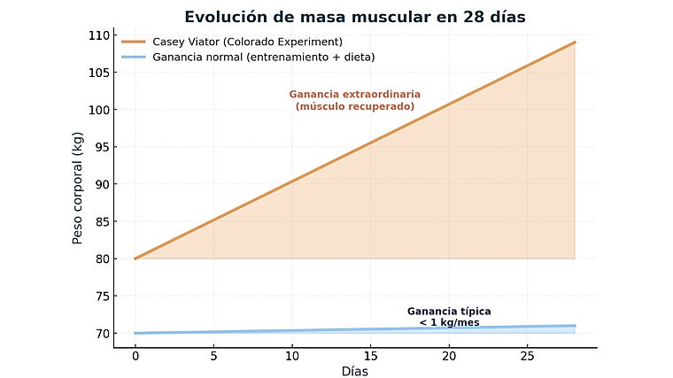 Comparativa entre una ganancia de masa muscular normal y la de Viator en el Experimento Colorado