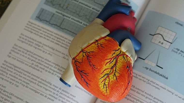 Hay muchas señales que nos pueden ayudar a identifcarlo