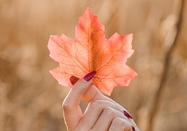 Meditaciones para acoger el otoño.