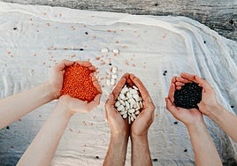 La importancia del zinc en la dieta: en estos alimentos lo podemos encontrar