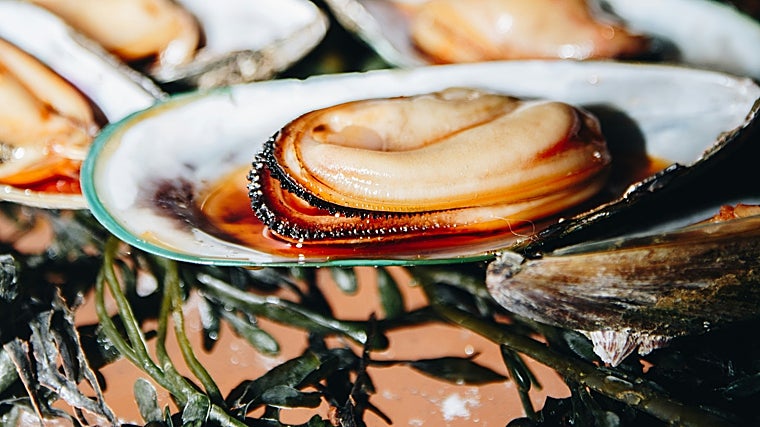 La importancia del zinc en la dieta: en estos alimentos lo podemos encontrar