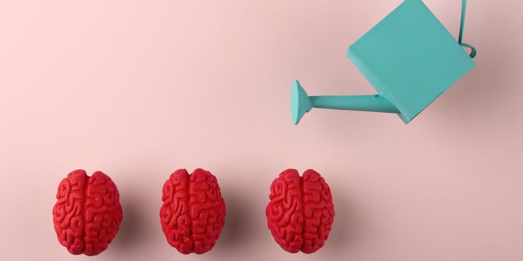 Multiplicar las capacidades del cerebro es posible con la «triada del éxito»