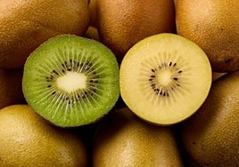 La doctora Isabel Viña explica qué tipo de kiwi es mejor, si el verde o el amarillo: «Tiene casi el doble de vitamina C»
