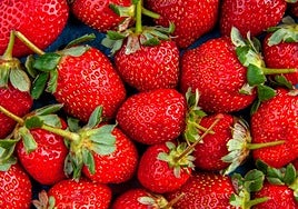 El doctor David Céspedes, especialista en longevidad, avisa sobre el consumo de fresas: «Son de las peores frutas que puedes comer»