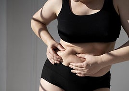 José Francisco López Gil, nutricionista, sobre el ayuno intermitente: «Las personas lo ven como una dieta para perder grasa, pero no lo es»