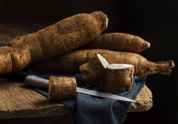 Yuca, el tubérculo energético que conquista las cocinas del mundo