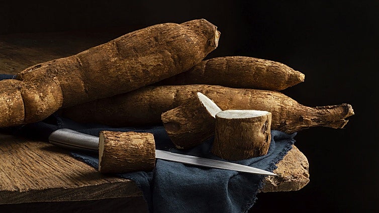 Yuca, el tubérculo energético que conquista las cocinas del mundo
