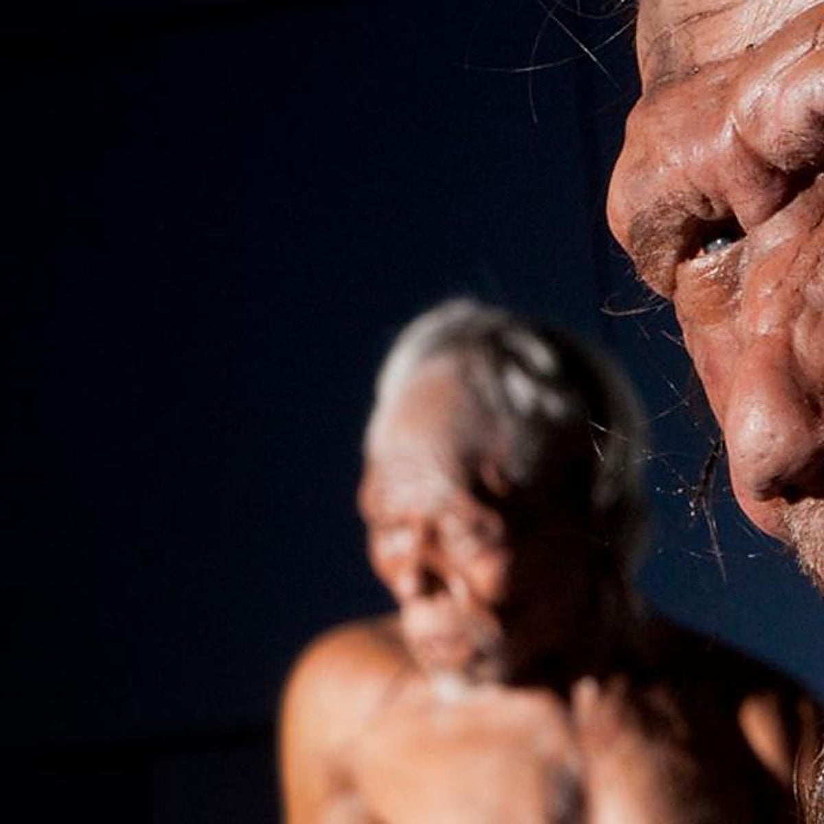 El cerebro neandertal crecía más rápido y cometía más errores