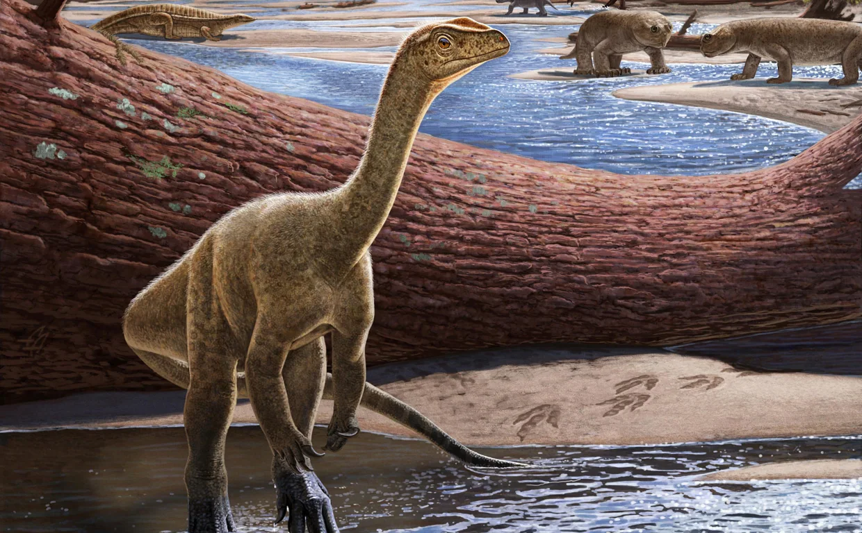 Descubiertos los dinosaurios más antiguos de África, de 230 millones de años