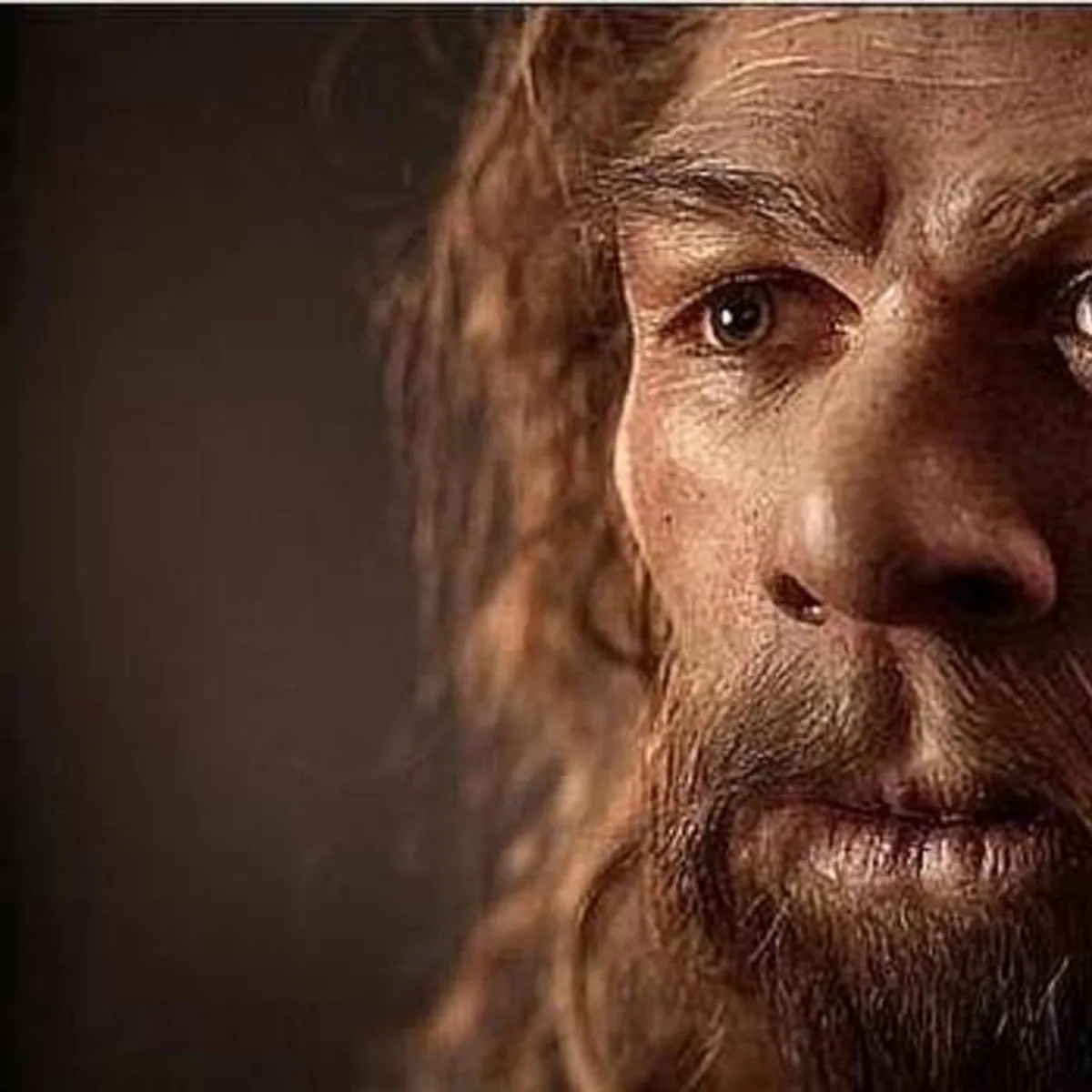 Los neandertales se extinguieron hace 40.000 años, pero nunca antes ha habido más ADN suyo que hoy