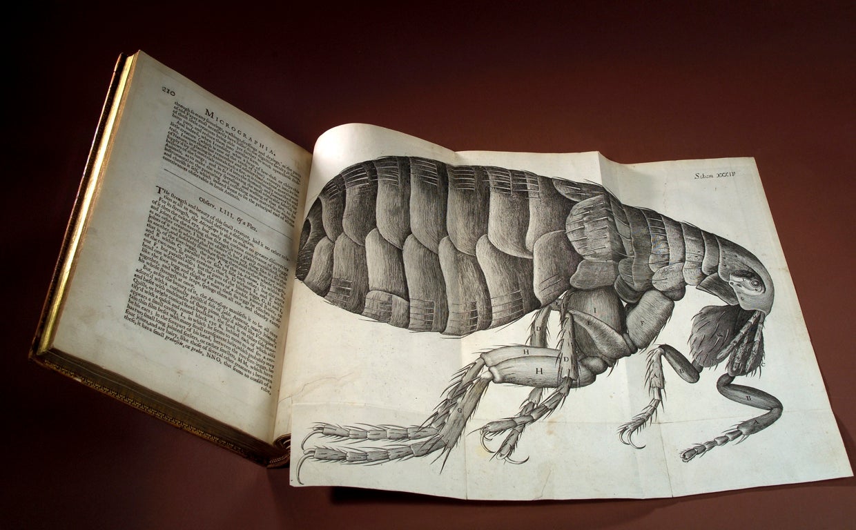 Ejemplar de 'Micrographia' (1665), de Robert Hooke, abierto por la ilustración de la pulga