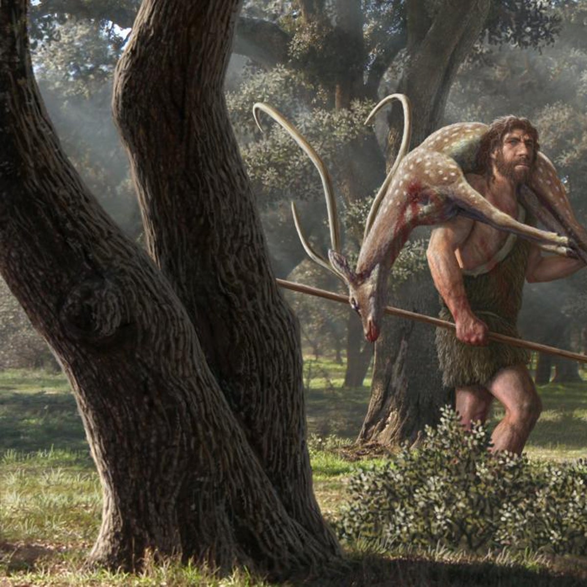 Los neandertales de Huesca, aún más carnívoros que los lobos
