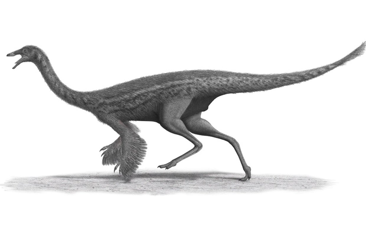 Gallimimo, del grupo de los ornitomimosaurios